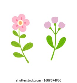 Cute flowers isolated on white background