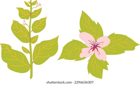 cute flowers and leafs decorative icon vector illustration design icon vector illustration design