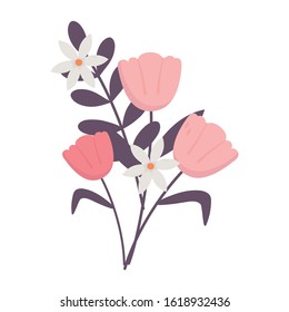cute flowers leaves petals decoration nature on white background vector illustration