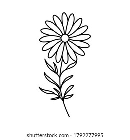 flores lindas en el diseño de ilustraciones vectoriales de fondo blanco