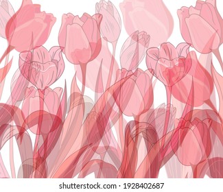 Cute flowers on a white background. Spring flowers tulips. Festive pattern of multi-colored flowers. Template for web design, greeting card, textile.