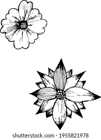 cute flowers on a white background. Can be used to decorate greeting cards and invitations