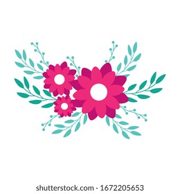 cute flowers pink with branches and leafs vector illustration design