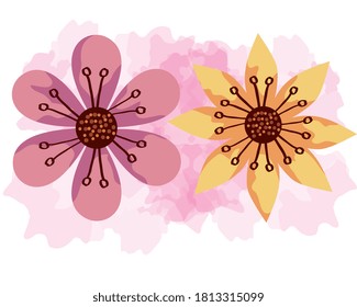 cute flowers pink and yellow color vector illustration design