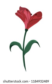 cute flowers plant with exotic leaves