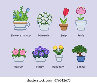 Cute flowers in pots collection