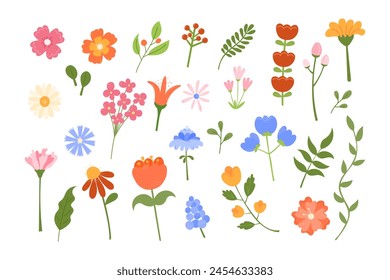 Cute flowers vector set. Illustration of floral botanical elements, leaves isolated on white background. Hand drawn natural meadow objects.