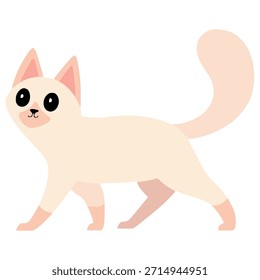 süß flauschig angora katze lustig cartoon charakter flache farbe vektor illustration design