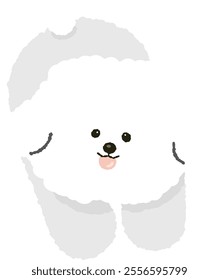 cute fluffy bichon frize puppy dog doggy pet