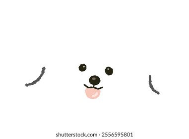 cute fluffy bichon frize puppy dog doggy pet