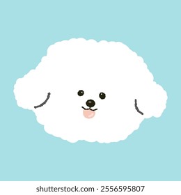 cute fluffy bichon frize puppy dog doggy pet