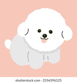 cute fluffy bichon frize puppy dog doggy pet