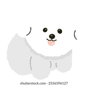 cute fluffy bichon frize puppy dog doggy pet