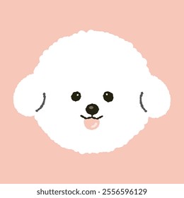 cute fluffy bichon frize puppy dog doggy pet