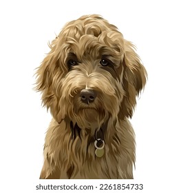 cute fluffy brown dog vector