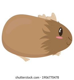 cute fluffy brown guinea pig, side view, cute domestic rodent, vector illustration in flat style
