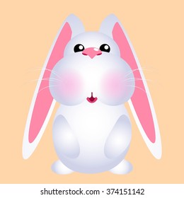 cute fluffy bunny