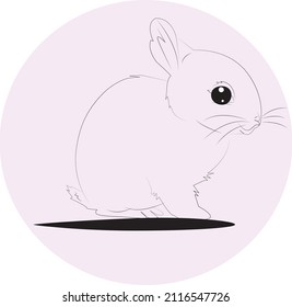 Hermoso conejito y liebre. Pequeño conejo adorable. Conejo blanco al fondo de la granja. El concepto de vida natural. Conejo de liebre aíslado lindo y esponjoso. Conejo de mascota divertida aislado 
