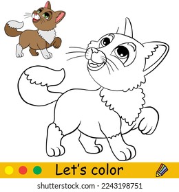 Cute fluffy cartoon cat character. Coloring book page with color template for children. Vector cartoon illustration isolated on white background. For coloring book, education, print, game.