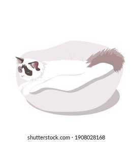Un gato mullido y acogedor se encuentra en una cómoda cama mullida. Siamés de pelo largo. Mascotas. Ilustración plana del vector