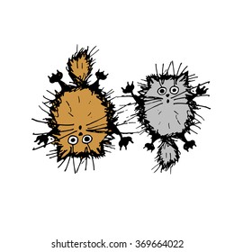 Cute fluffy cats, sketch for your design