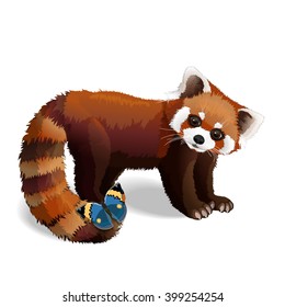 Cute and fluffy chinese red panda with a butterfly on his tail. Vector character illustration