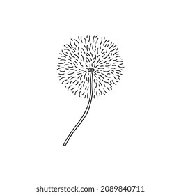 Cute and fluffy dandelion with white seeds, sketch vector illustration isolated on white background. Delicate flower with black outline, great for spring design.