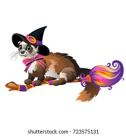 Cute fluffy ferret in the black witch hat flying on a broom isolated on white background. Sketch for poster or card for the holiday of all evil spirits Halloween. Vector cartoon close-up illustration.