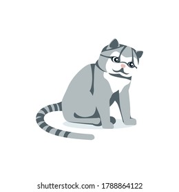 Cute gato gris esponjoso con cola rayada. Dibujo vectorial de animales domésticos de mascotas con una bonita sentada aislado en fondo blanco