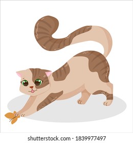 cute and fluffy kitten on a walk catches a butterfly, pet, spotted plump cat with green eyes, vector illustration isolated on a white background