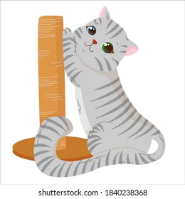 cute and fluffy kitten sharpens its feet on a scratching post, pet, striped gray plump cat walks or plays with, vector illustration isolated on a white background
