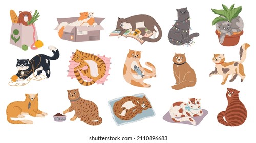 Cute fluffy kitty collection play or sleep. Vector feline fluffy, funny cat play and relaxing, adorable pet illustration