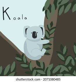 Cute fluffy koala on eucalyptus. Letter K from the alphabet. Cute baby animal illustration.