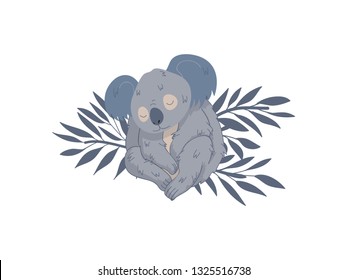 Cute fluffy koala sleeping on branches of eucalyptus tree. Australian bear. Wild creature. Vector design