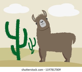 cute fluffy llama or alpaca besides cactus in desert landscape vector illustration