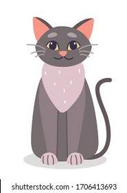 A cute fluffy pet. Gray fluffy cat.Simple gray british cat . Pet lying and sleeping curled up. Cute fluffy domestic animal vector flat illustration.