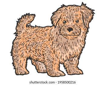 Cute and fluffy puppy. Sketch scratch board imitation color brown