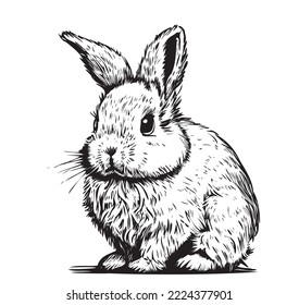 
Cute fluffy rabbit sketch drawn in ink.Vector illustration.