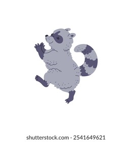 Cute fluffy raccoon dancing and smiling. Cartoon funny mammal have fun on disco party. Music wild animal entertainment. Vector flat happy pet character illustration isolated on white