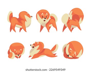 Cute fluffy red pomeranian spitz in different poses set. Fluffy pet dog walking, jumping and sleeping cartoon vector illustration