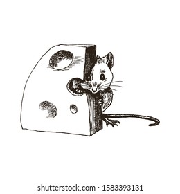 Cute Fluffy Rodent Animal Hiding Behind Huge Slab of Cheese Vector Illustration. Furry Field Mouse Hand Drawn Concept