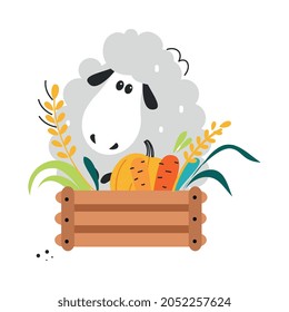 Cute Fluffy Sheep as Farm Animal on Ranch with Crate Full of Harvest Vector Illustration
