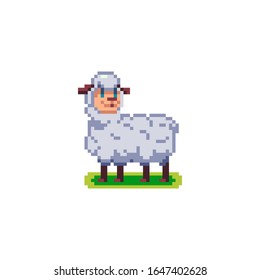 
Cute fluffy sheep. Funny farm animal. Vector image in the style of pixel art.