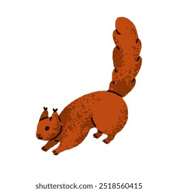 Cute fluffy squirrel with furry bushy tail standing on four paws. Adorable playful small rodent, charming forest fauna. Flat graphic vector illustration isolated on white background