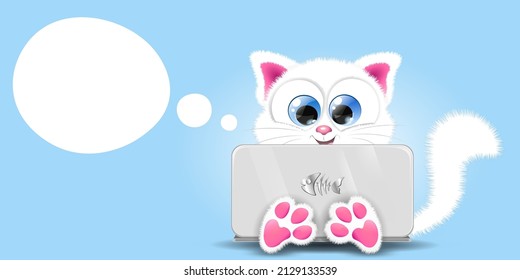 Cute fluffy white cat behind laptop. Sale, distance education concept