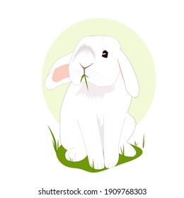 Cute fluffy white rabbit sits and chews green grass. Animals. Modern vector flat illustration