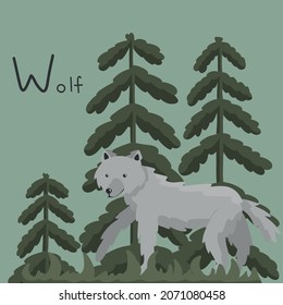A cute fluffy wolf walks in the forest in the evening. Letter W from the alphabet. Cute baby animal illustration.