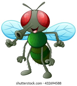Cute fly animal. Isolated on white background