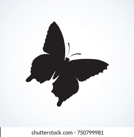 Cute fly hexapod bug isolated on white backdrop. Dark ink hand drawn emblem in art retro design style. View close up with space for text on light sky