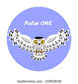 Cute flying polar owl on blue background.